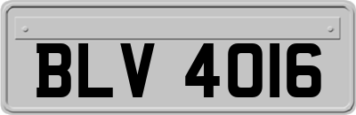 BLV4016