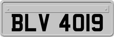 BLV4019