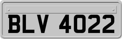 BLV4022