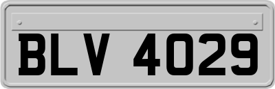 BLV4029