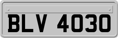 BLV4030
