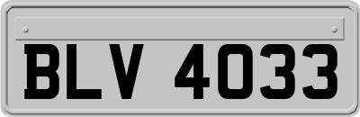 BLV4033