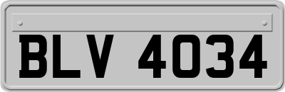 BLV4034