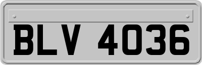 BLV4036