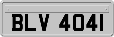 BLV4041