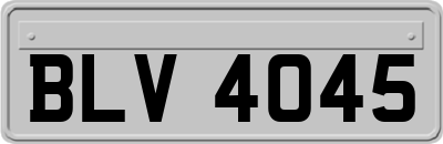 BLV4045