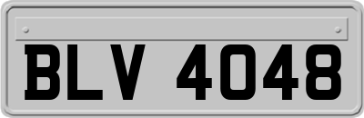BLV4048