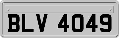 BLV4049