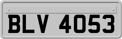 BLV4053