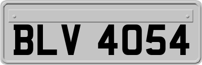 BLV4054