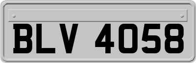 BLV4058