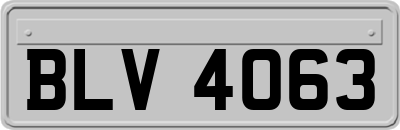 BLV4063