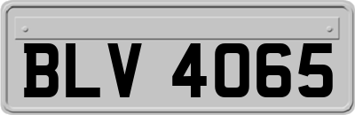 BLV4065
