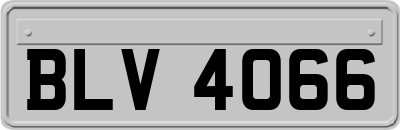 BLV4066