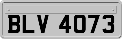 BLV4073