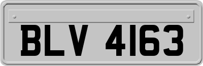 BLV4163