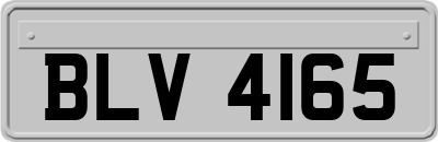 BLV4165