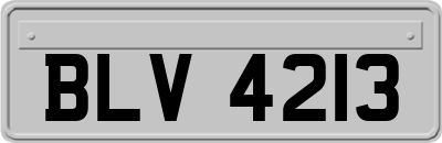 BLV4213
