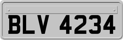BLV4234