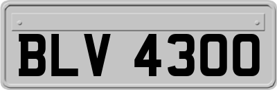 BLV4300