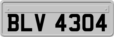 BLV4304