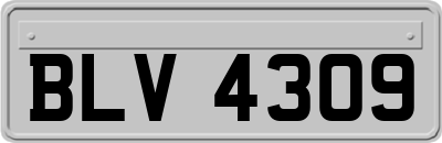 BLV4309
