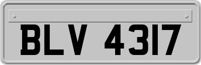 BLV4317