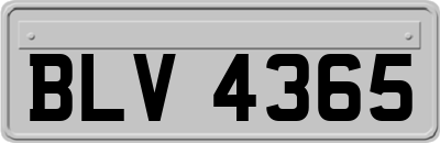 BLV4365