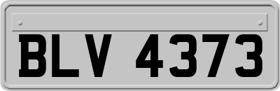 BLV4373