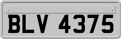 BLV4375