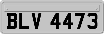 BLV4473