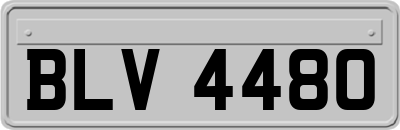 BLV4480