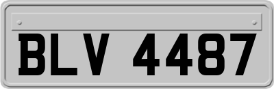 BLV4487
