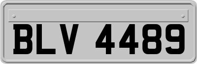 BLV4489