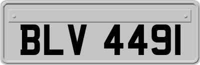 BLV4491