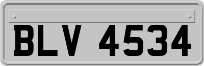 BLV4534