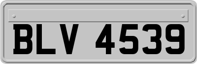 BLV4539