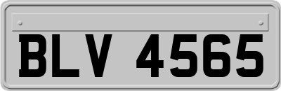 BLV4565
