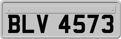 BLV4573