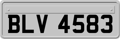 BLV4583