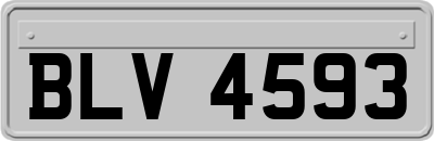 BLV4593
