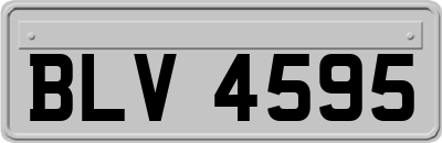 BLV4595
