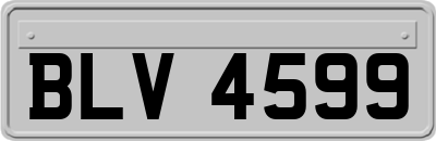 BLV4599