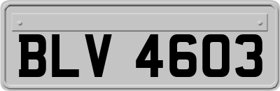 BLV4603