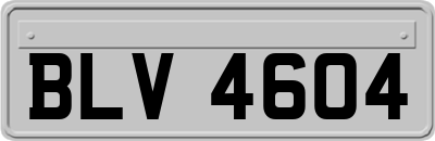 BLV4604