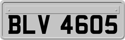 BLV4605