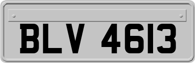 BLV4613