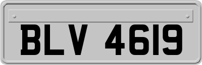 BLV4619