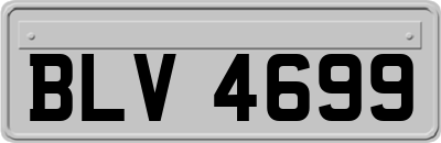BLV4699