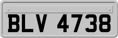 BLV4738